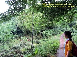 Emeishan 051